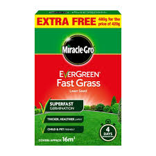 MG EVERGREEN FAST GRASS SEED 480G