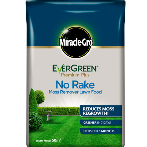 MG EVERGREEN NO RAKE FEED&MOSS 10KG