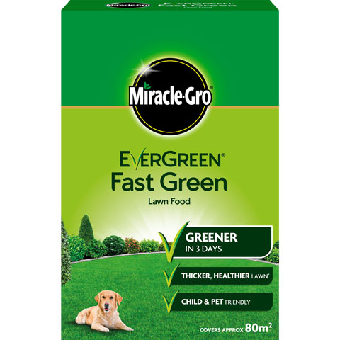 MG EVERGREEN FAST GREEN 2.8KGM
