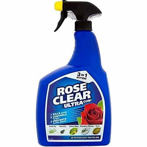ROSE CLEAR 3IN1 RTU GUN 800ML